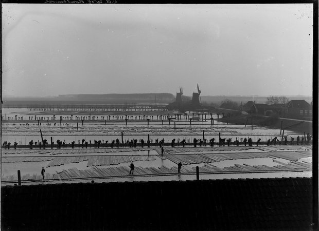 Balkengaten, gezicht vanaf molen de Nagtegaal op de hoek Oranjelaan -Noordendijk - 1900-1906